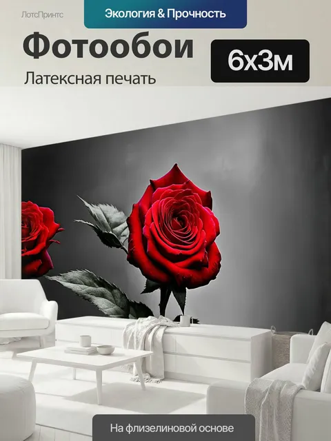600 × 300 см · Латексная печать