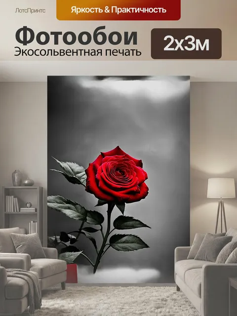 200 × 300 см · Экосольвентная печать