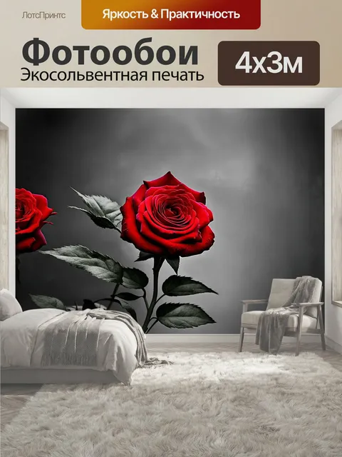 400 × 300 см · Экосольвентная печать