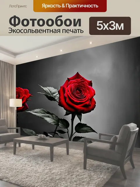 500 × 300 см · Экосольвентная печать