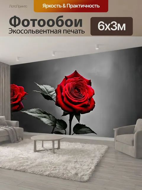 600 × 300 см · Экосольвентная печать