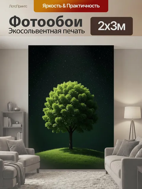 200 × 300 см · Экосольвентная печать