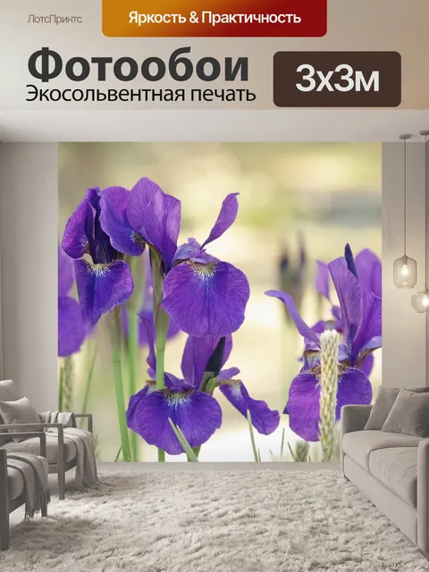 Фотообои Цветы, синий, япония