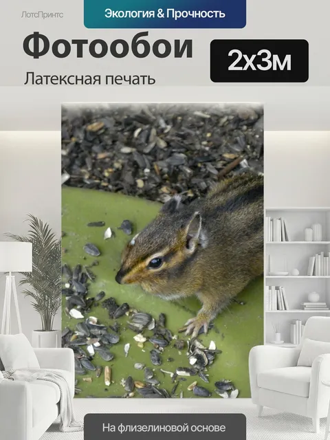 200 × 300 см · Латексная печать
