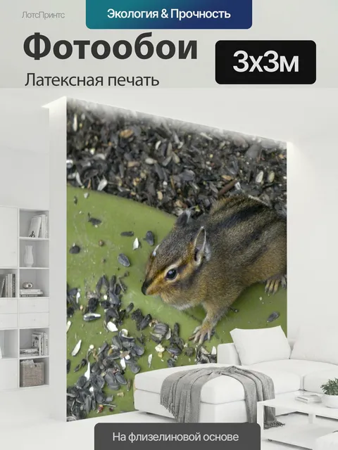 300 × 300 см · Латексная печать