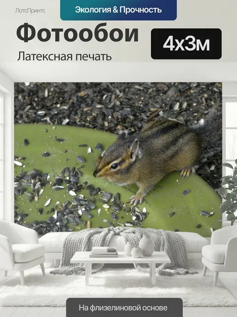 400 × 300 см · Латексная печать