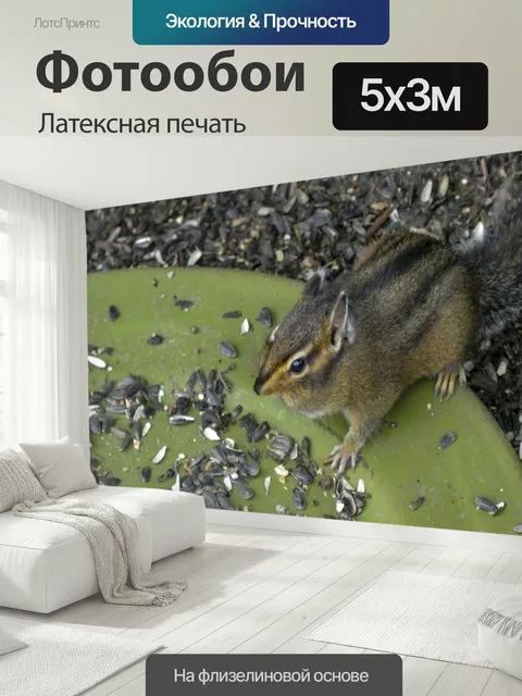 500 × 300 см · Латексная печать