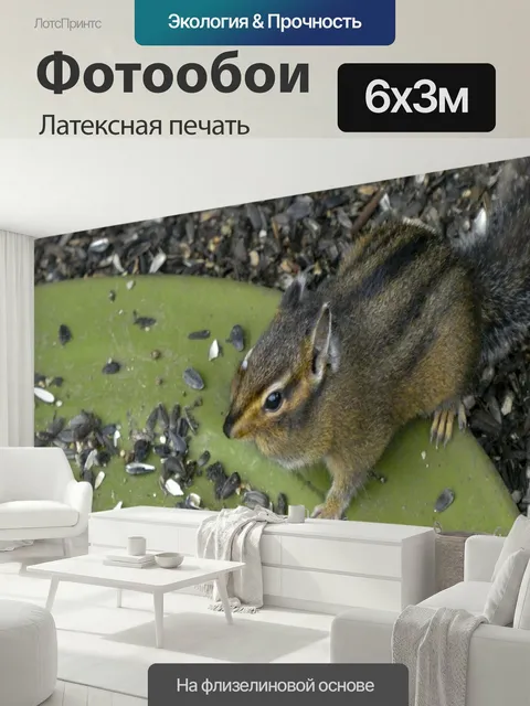 600 × 300 см · Латексная печать