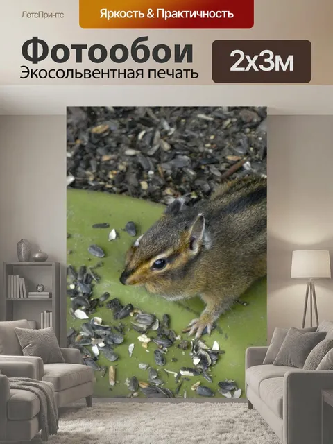 200 × 300 см · Экосольвентная печать