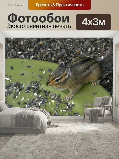 400 × 300 см · Экосольвентная печать