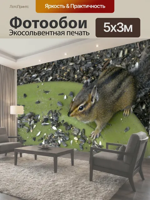 Фотообои Бурундук ест семена из тарелки