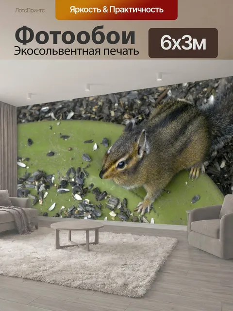 600 × 300 см · Экосольвентная печать