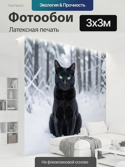 300 × 300 см · Латексная печать