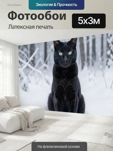 500 × 300 см · Латексная печать