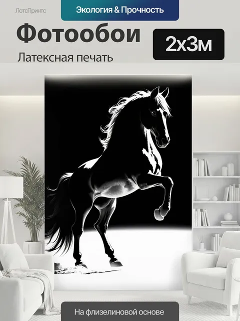 200 × 300 см · Латексная печать
