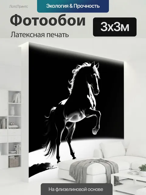 300 × 300 см · Латексная печать