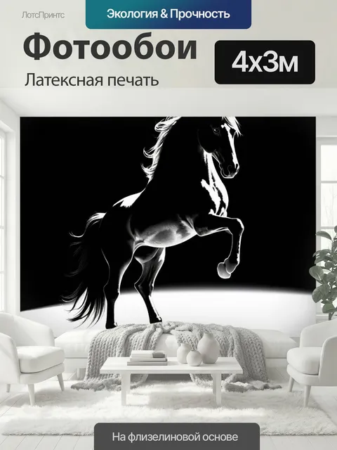 400 × 300 см · Латексная печать