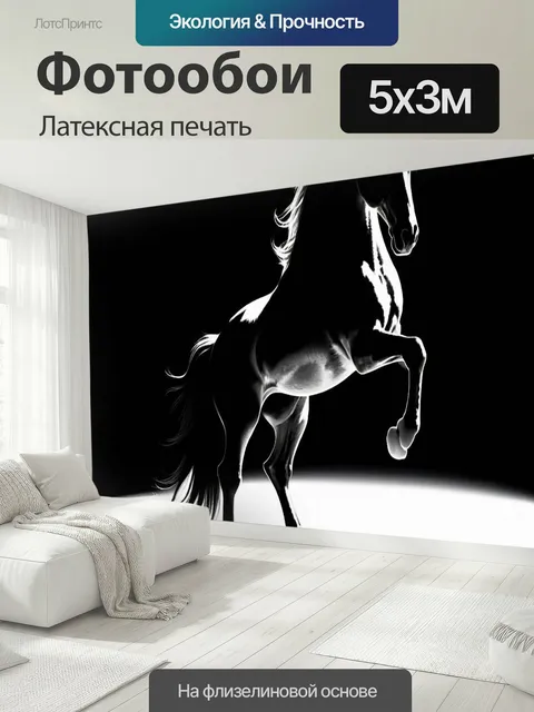 500 × 300 см · Латексная печать