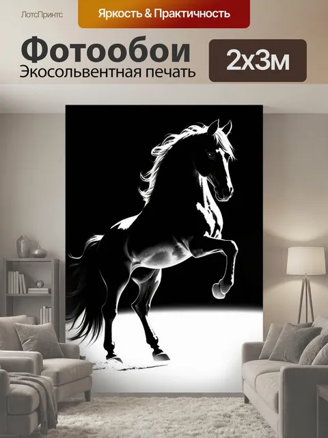 200 × 300 см · Экосольвентная печать