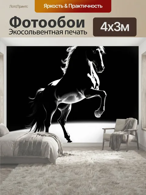 400 × 300 см · Экосольвентная печать