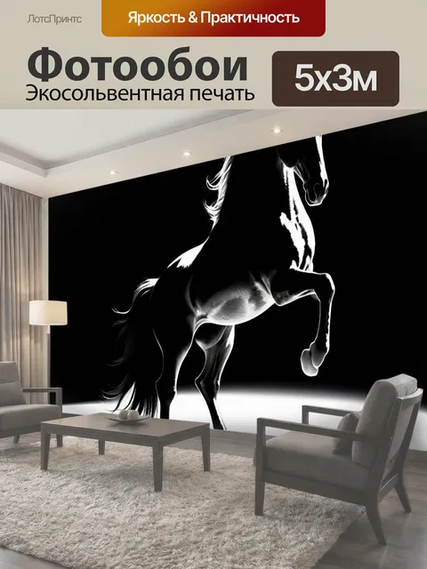 500 × 300 см · Экосольвентная печать