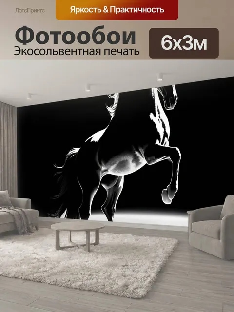 600 × 300 см · Экосольвентная печать