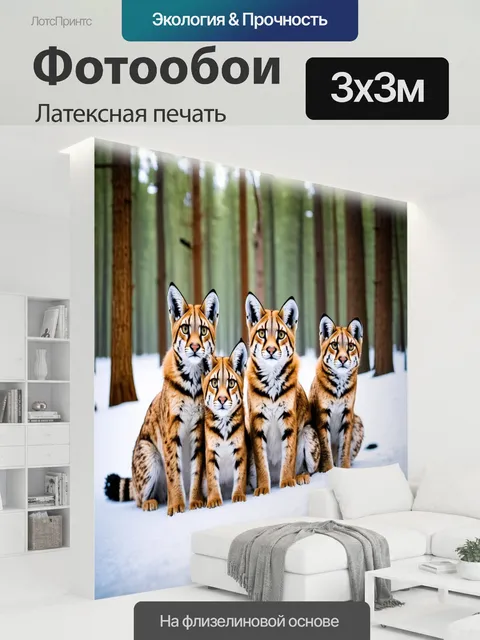 300 × 300 см · Латексная печать