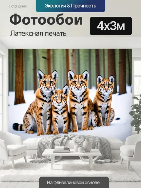 400 × 300 см · Латексная печать