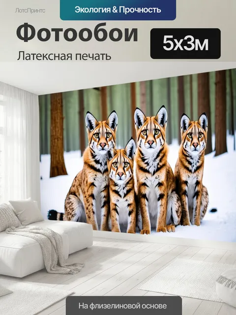 500 × 300 см · Латексная печать