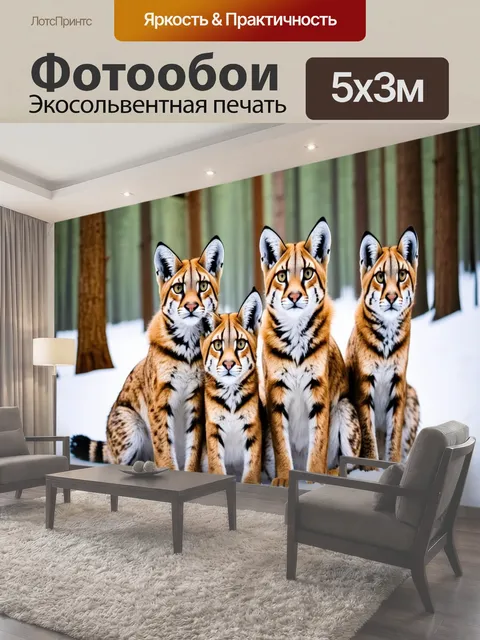 500 × 300 см · Экосольвентная печать