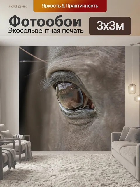 Фотообои Лошадь, глаз, закрывать