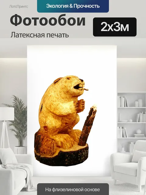 200 × 300 см · Латексная печать