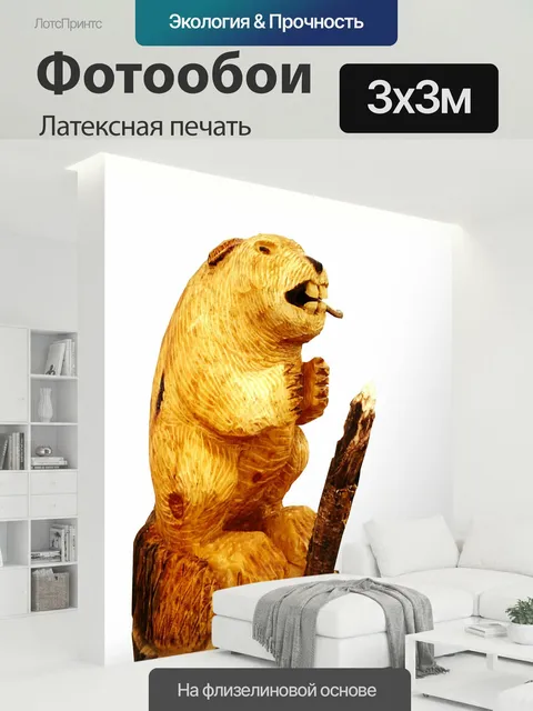 300 × 300 см · Латексная печать
