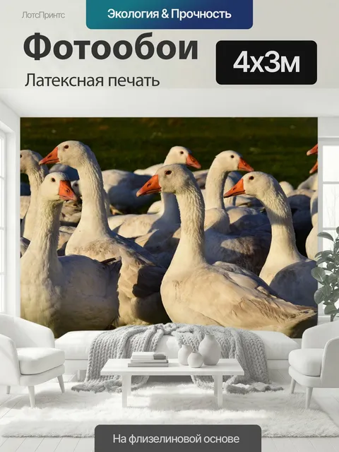 400 × 300 см · Латексная печать
