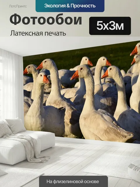 500 × 300 см · Латексная печать