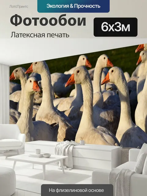 600 × 300 см · Латексная печать