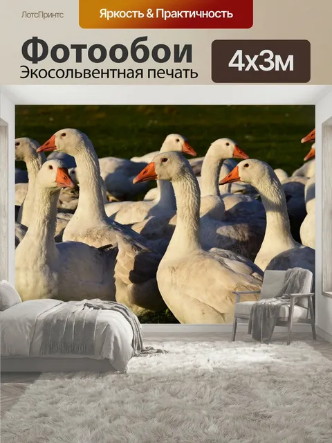 400 × 300 см · Экосольвентная печать