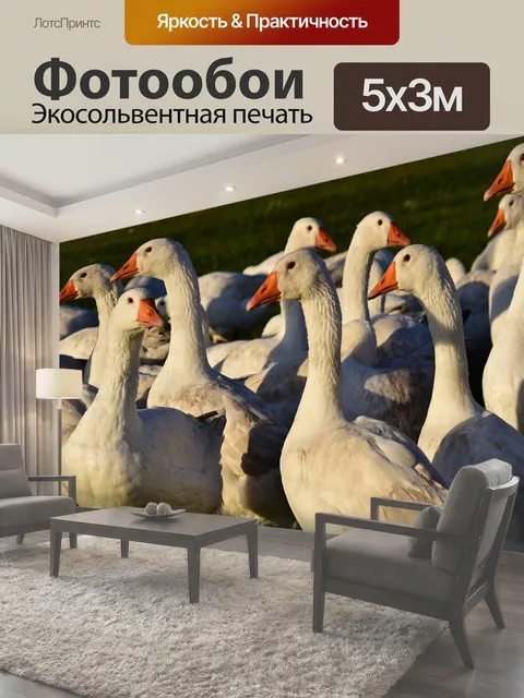 500 × 300 см · Экосольвентная печать