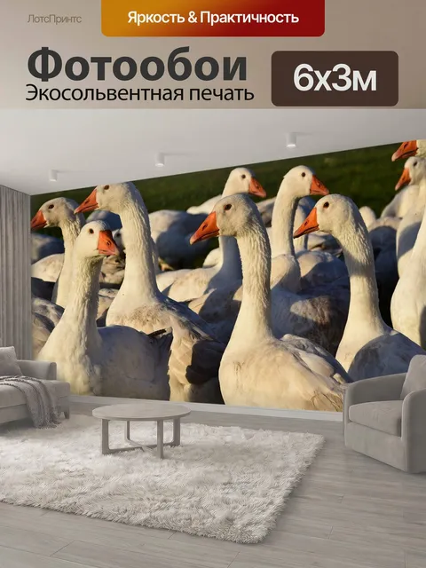 600 × 300 см · Экосольвентная печать