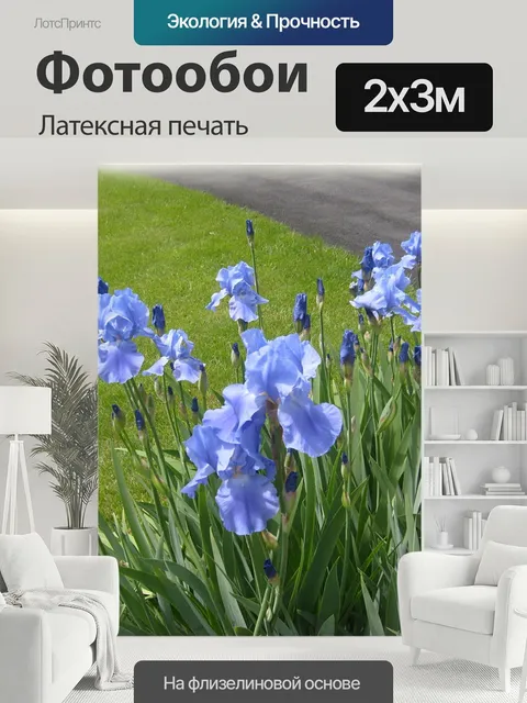 200 × 300 см · Латексная печать