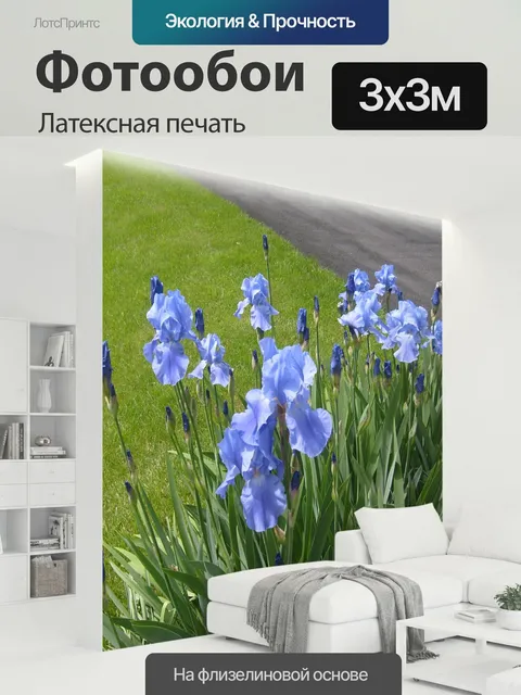 300 × 300 см · Латексная печать