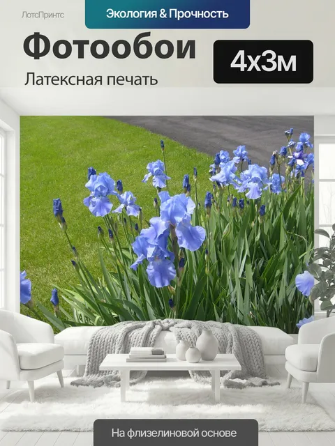 400 × 300 см · Латексная печать
