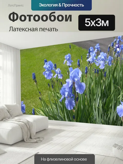 500 × 300 см · Латексная печать