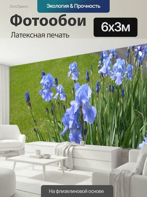600 × 300 см · Латексная печать