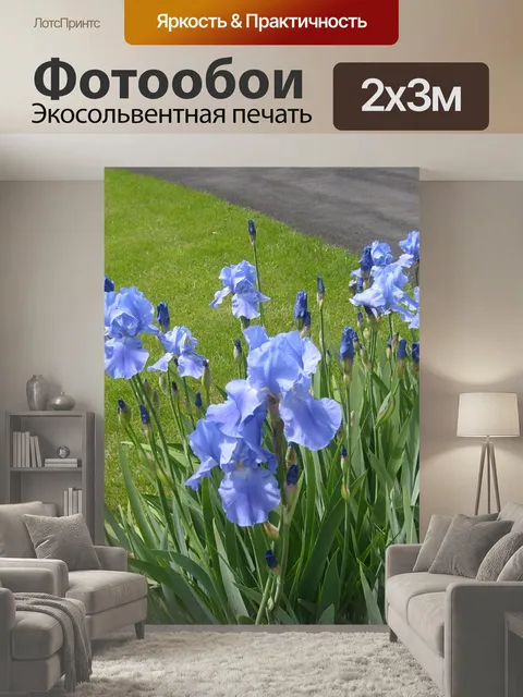 200 × 300 см · Экосольвентная печать