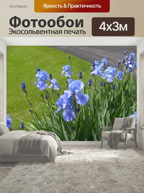 400 × 300 см · Экосольвентная печать