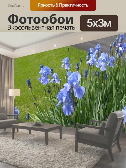 500 × 300 см · Экосольвентная печать