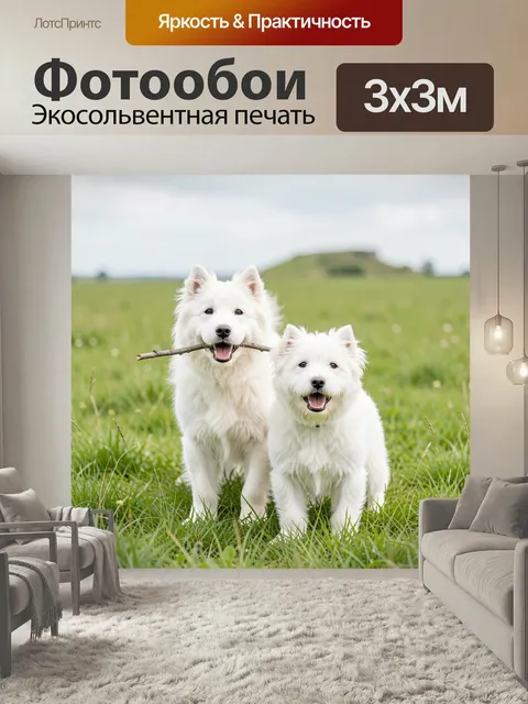 Фотообои Две белые собаки в поле
