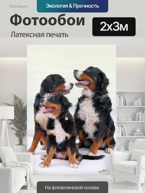 200 × 300 см · Латексная печать