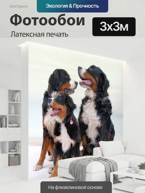 300 × 300 см · Латексная печать
